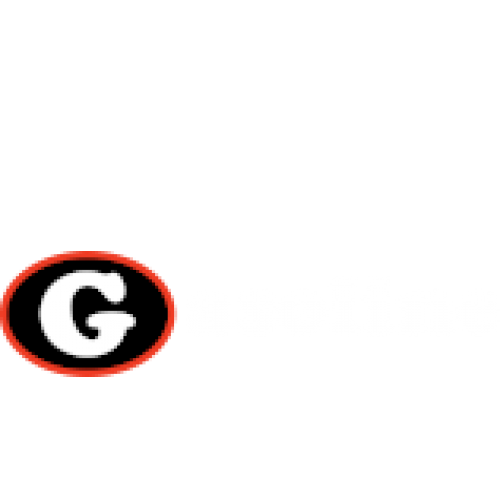 logo van GASOLINE
